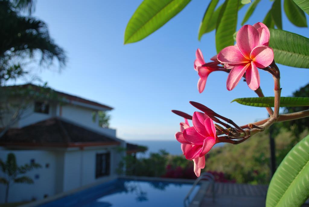 Hotel Casa Frangipani Montezuma Esterno foto